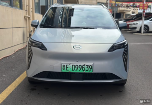 炮 2021款 2.0T商用版手动柴油四驱精英型长箱GW4D20M